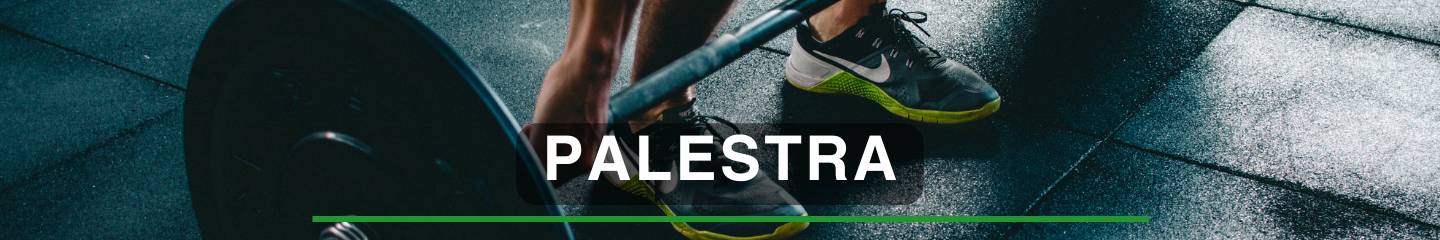 Palestra