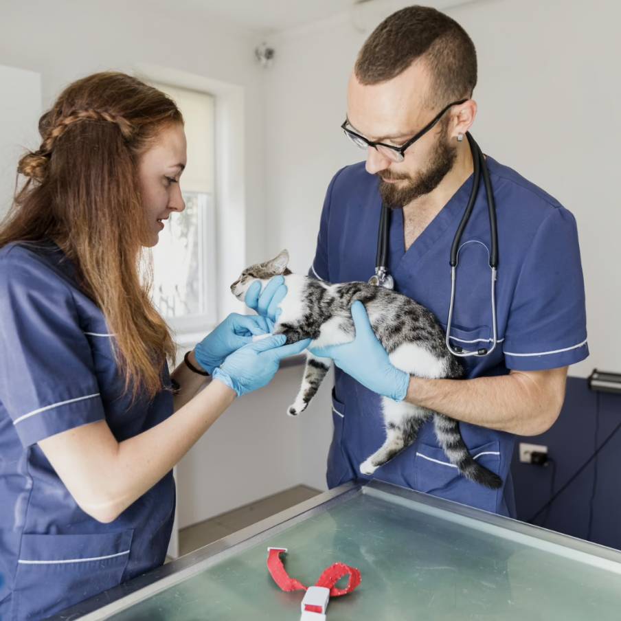Sterilizzazione