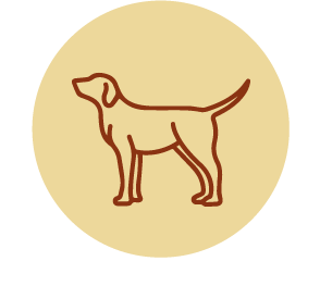 app/prova-dinserimento.htm