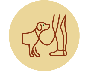 app/educazione-addestramento.htm