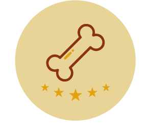 app/elenco-inserimento-giornaliero/1/