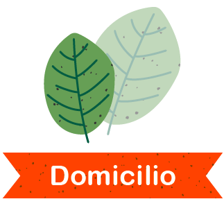 app/ordina/domicilio
