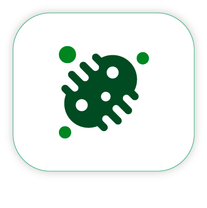 tamponi