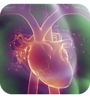 spirulina-g-ipertensione