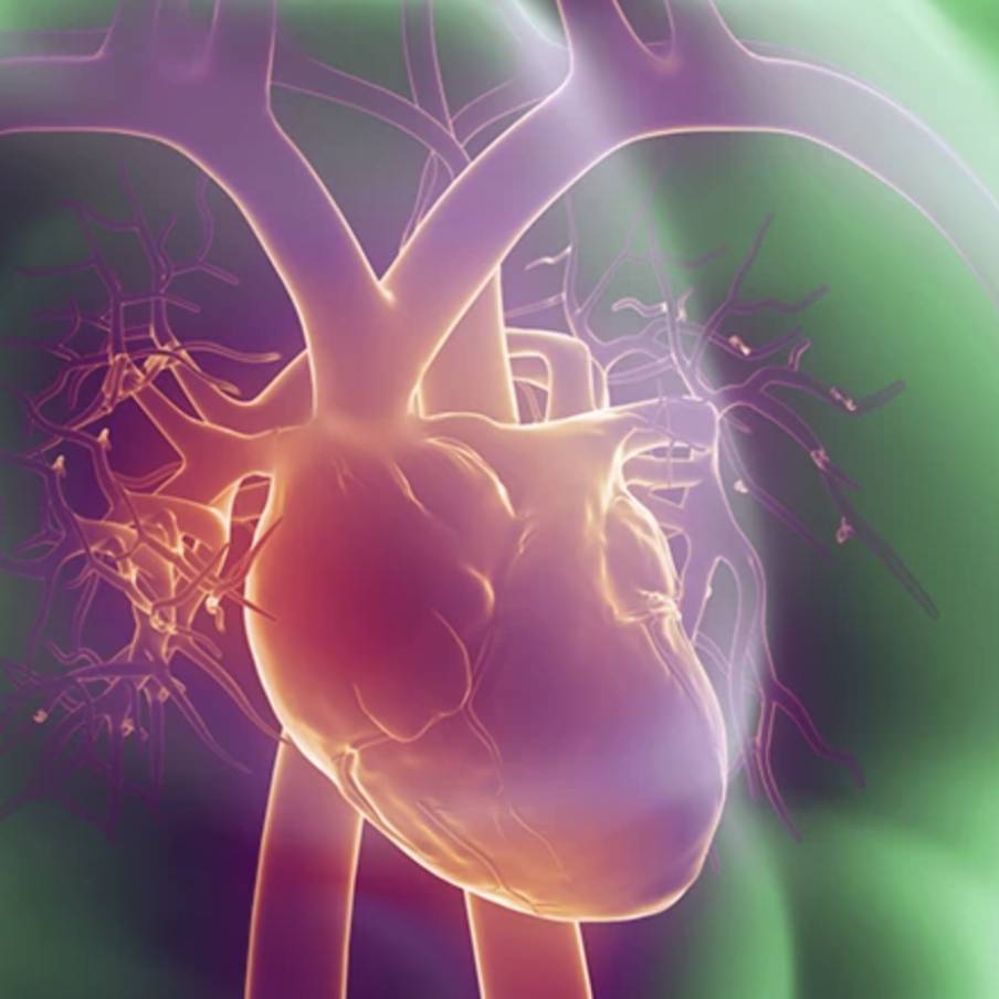 Spirulina G e ipertensione