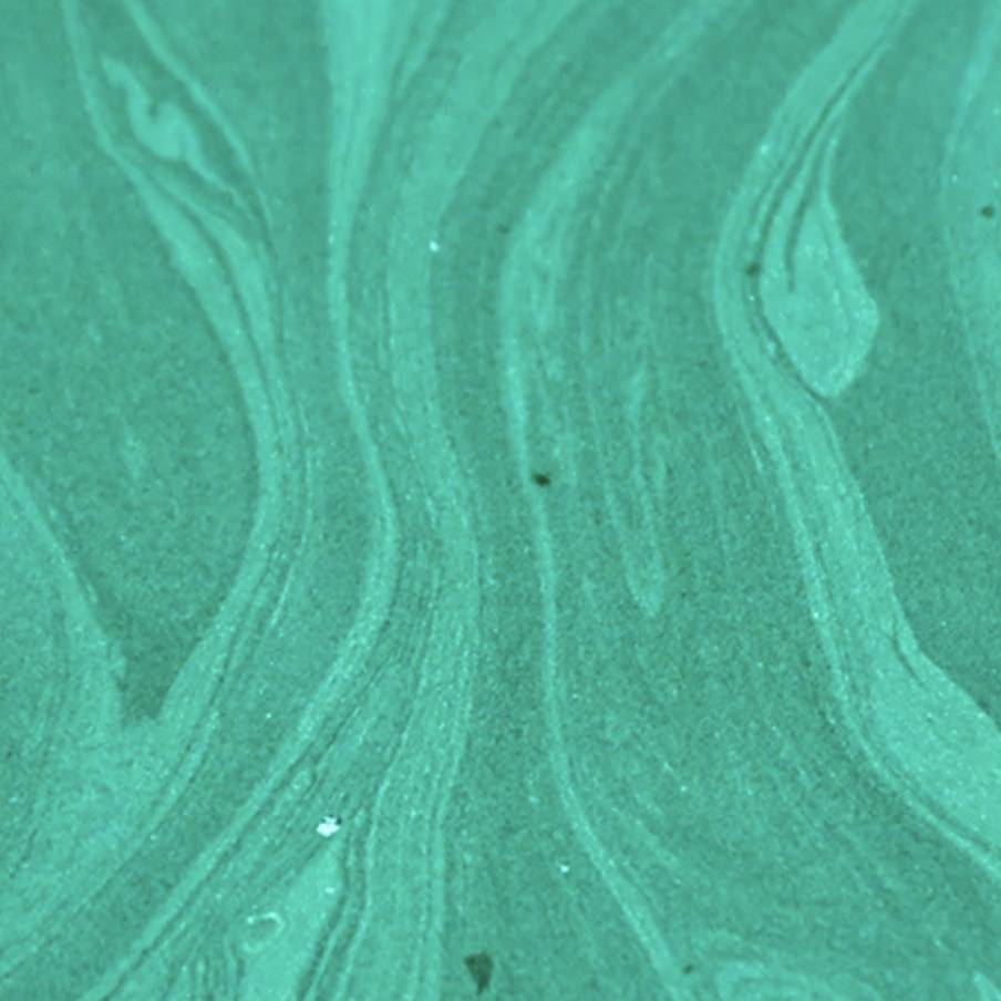 Controindicazioni ed effetti collaterali della Spirulina G