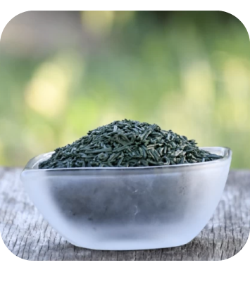 proprieta-spirulina-g