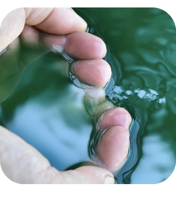 spirulina-g-100-italiana-coltivata