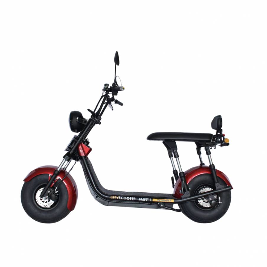 CITYSCOOTER NBT1