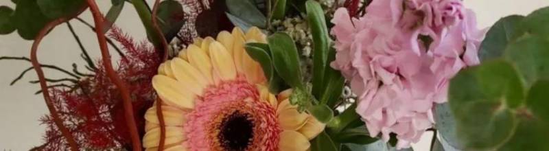 Fiori Recisi