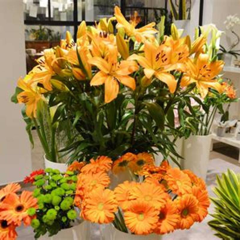 Fiori Recisi
