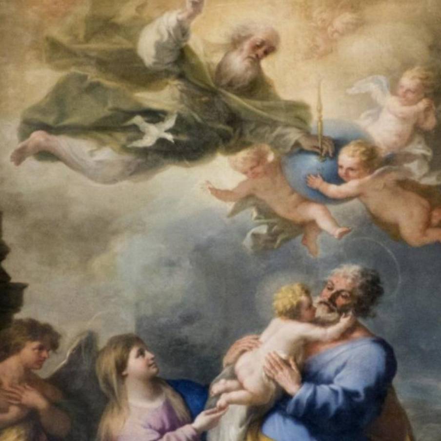 LA TELA DEL SOLIMENA