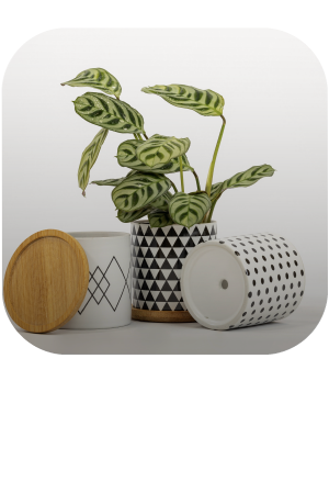 app/chi-siamo142.htm