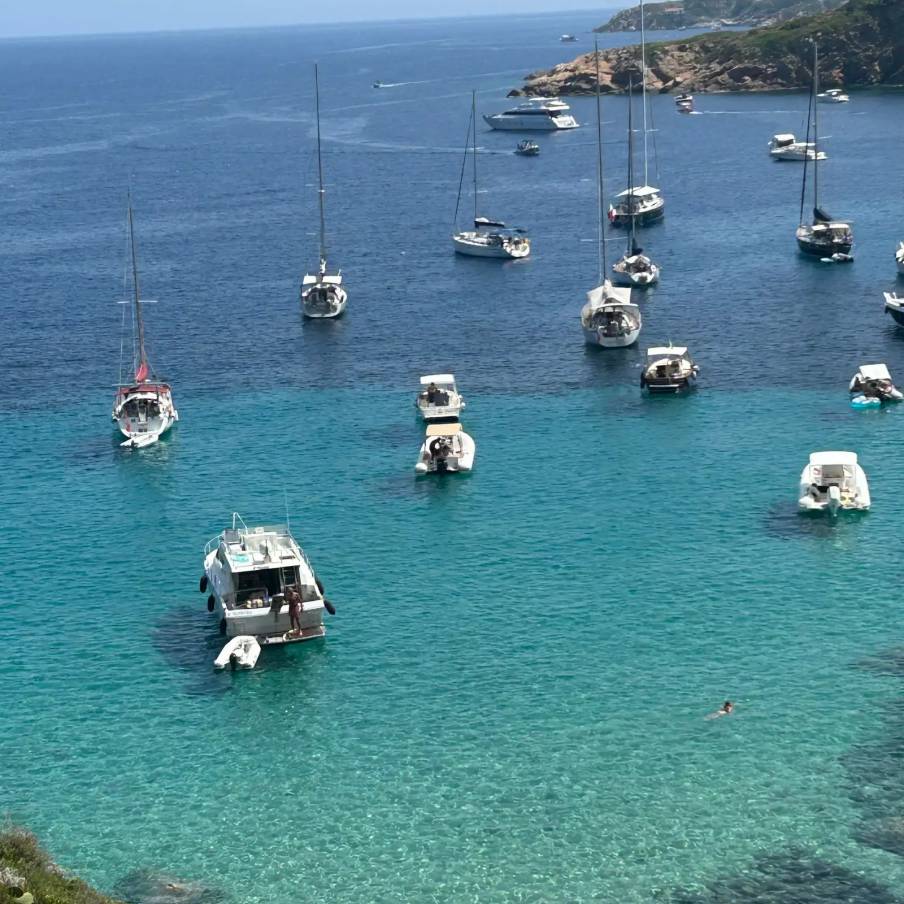 ISOLA DEL GIGLIO E GIANNUTRI 11 luglio