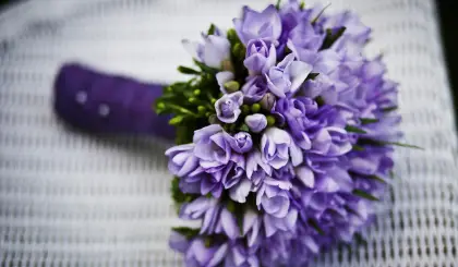 FLORISSIMO  Fiori, piante e consegna a domicilio a Ivrea